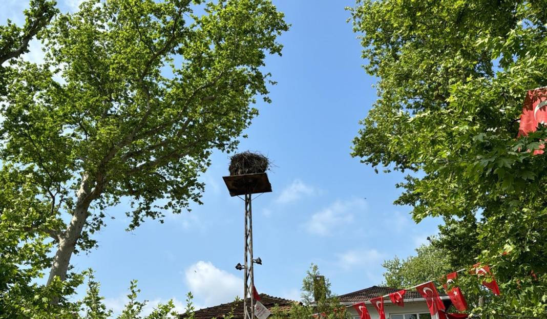 Tekirdağ'ın maskotu 'Gelendost' kamera ile izlenecek - Resim: 6